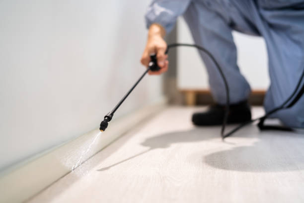 Licensed Pest Control service in Schulenburg, TX - Show Me Pest Control