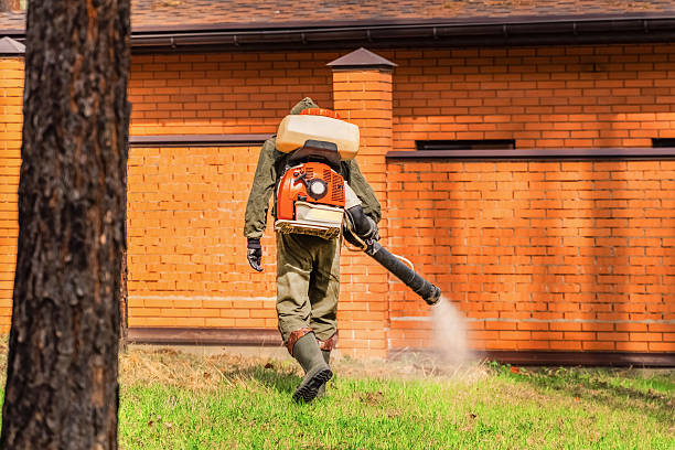Bed Bug Clearance Verification and Documentation in Schulenburg